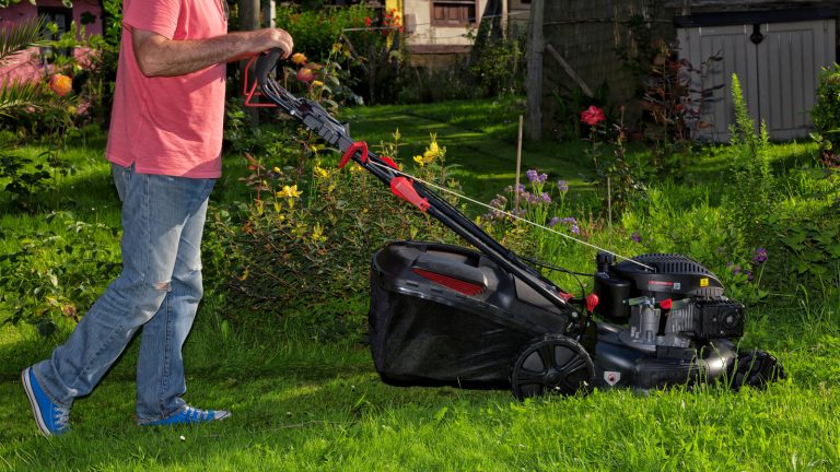 Understanding the Meaning and Importance of CC on Lawnmowers Understanding the Meaning and Importance of CC on Lawnmowers