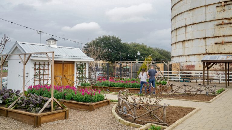 Create Joanna Gaines' Garden in Your Home with Magnolia Market's Fresh Seed Bar