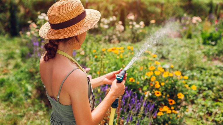 Avoid Planting This Ground Cover if You're Trying to Repel Mosquitoes