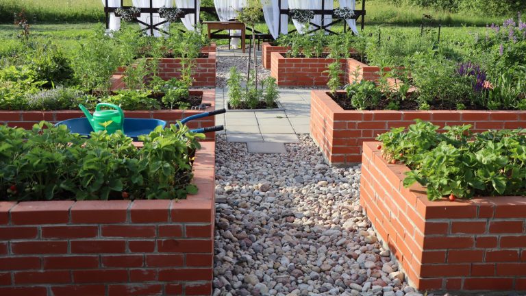 Do Not Plant These 12 Types of Plants in Raised Garden Beds Under Any Circumstances