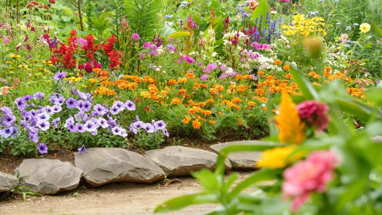 Growing These 13 Stunning Flowers Can Be Incredibly Challenging