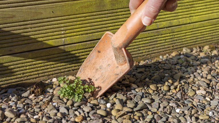 Prevent Weed Growth in Gravel Using a Simple DIY Solution