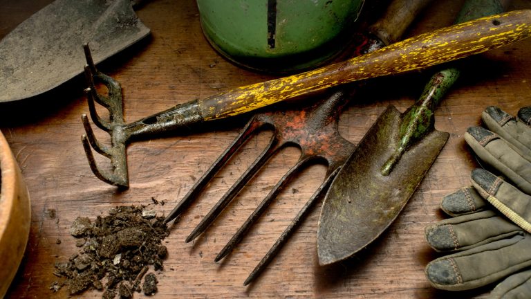 Spring Garden Tool Maintenance: What You Need to Know