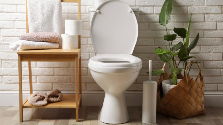 What is the Ideal Number of Toilet Brushes to Have in Your Home?